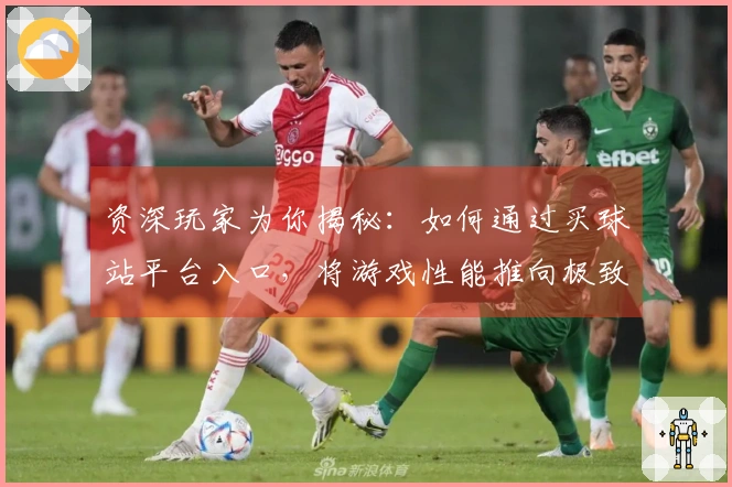 资深玩家为你揭秘：如何通过买球站平台入口，将游戏性能推向极致