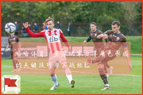 哈哈体育：资深玩家分享角色养成的关键技巧与实战经验