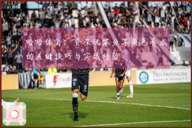 哈哈体育：资深玩家分享角色养成的关键技巧与实战经验
